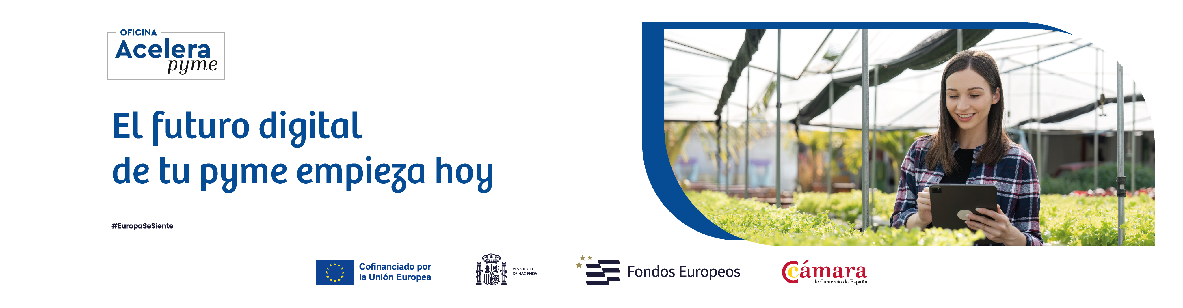 Acelera la transformación digital de tu PYME